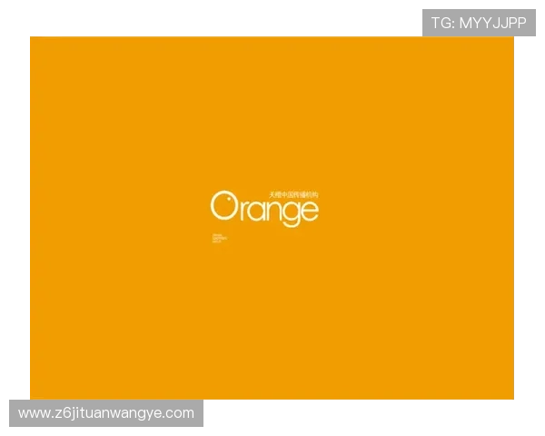 尊龙集团登录入口网站查询流程详解及常见问题解决方案